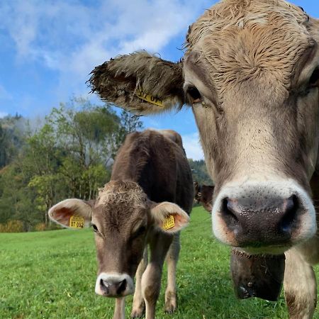Alpenlaendischer Chic Oberstdorf Eksteriør billede